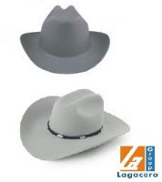 Casco Western
